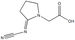 1-Pyrrolidineaceticacid,2-(cyanoimino)-(9CI) Structure