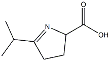2H-Pyrrole-2-carboxylicacid,3,4-dihydro-5-(1-methylethyl)-(9CI) Structure