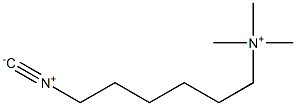 1-Hexanaminium,6-isocyano-N,N,N-trimethyl-(9CI) Struktur