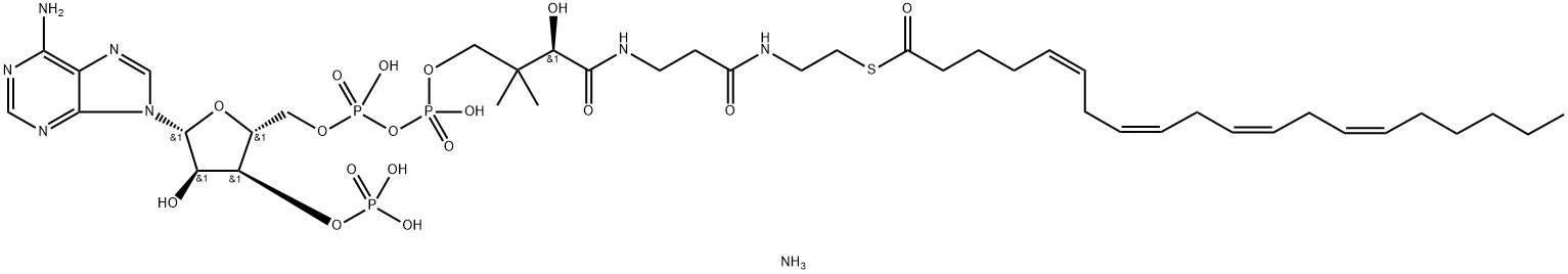 (5Z,8Z,11Z,14Z-eicosatetraenoyl) CoenzyMe A (aMMoniuM salt) 化学構造式
