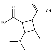 1,2-Cyclobutanedicarboxylicacid,4-(dimethylamino)-3,3-dimethyl-(8CI) Structure