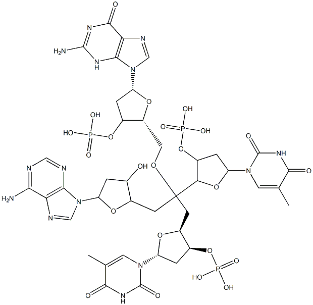 2'-deoxyadenylyl(3'-5')thymidylyl(3'-5')deoxyguanosylyl(3'-5')thymidine,80565-17-9,结构式