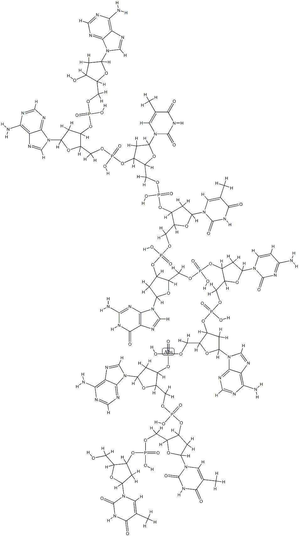 d(AATTGCAATT),80943-73-3,结构式
