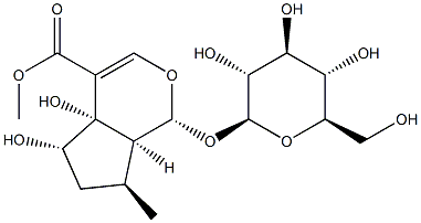 pedicularioside 化学構造式