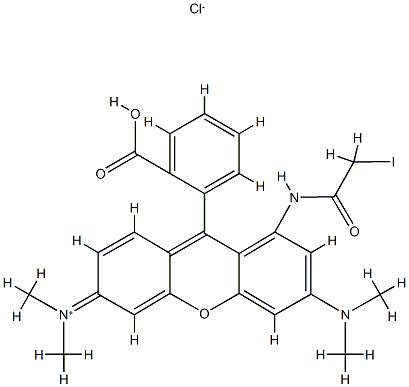 tetramethylrhodamine iodoacetamide,81235-33-8,结构式