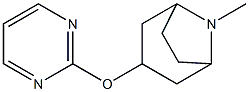 8-Azabicyclo[3.2.1]octane,8-methyl-3-(2-pyrimidinyloxy)-(9CI)|