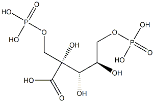 82263-00-1 4-carboxyarabinitol 1,5-biphosphate