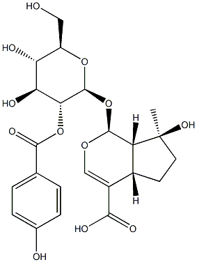 2′-p-Hydroxybenzoyl mussaenosidic acid Structure