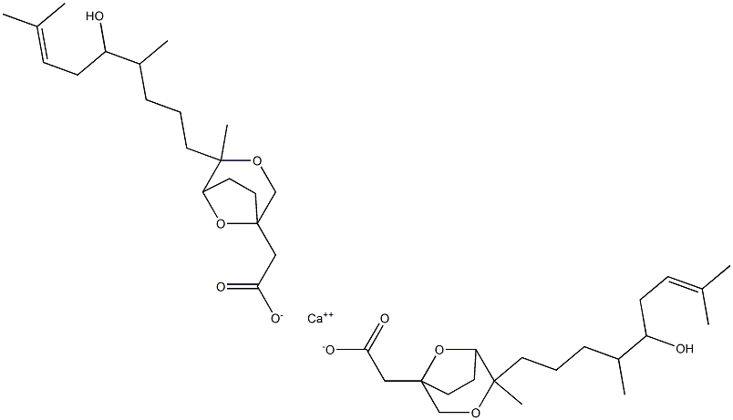 ORF 13811 Struktur