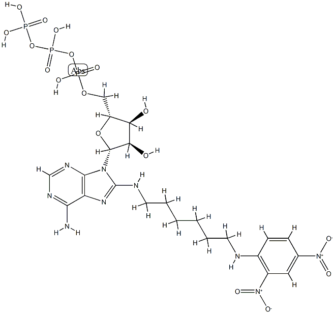 8-(2,4-dinitrophenyl-2,6-aminohexyl)aminoadenosine 5'-triphosphate 化学構造式