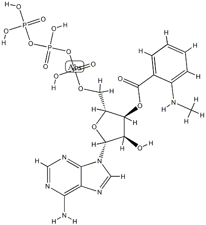 3'-O-(N-메틸안트라닐로일)ATP