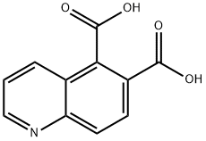 5,6-Quinolinedicarboxylicacid(4CI) 结构式