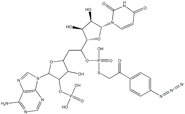 5'-(((4-azidophenacyl)thio)phosphoryl)adenylyl(3'-5')uridine 结构式