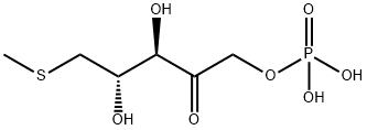 (3,4-dihydroxy-5-methylsulfanyl-2-oxo-pentoxy)phosphonic acid Structure