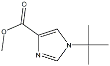 methyl 1-tert-butyl-1H-imidazole-4-carboxylate 化学構造式