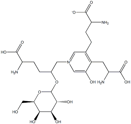 galactosylpyridinoline Structure
