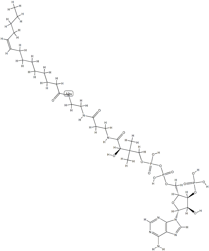 코엔자임A미리스톨레오일유도체(C14:1),리튬염