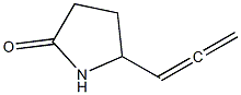 89017-55-0 2-Pyrrolidinone,5-(1,2-propadienyl)-(9CI)
