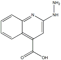 4-Quinolinecarboxylicacid,2-hydrazino-(9CI)