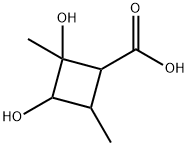 Cyclobutanecarboxylic acid, 2,3-dihydroxy-2,4-dimethyl- (6CI,7CI),89941-76-4,结构式