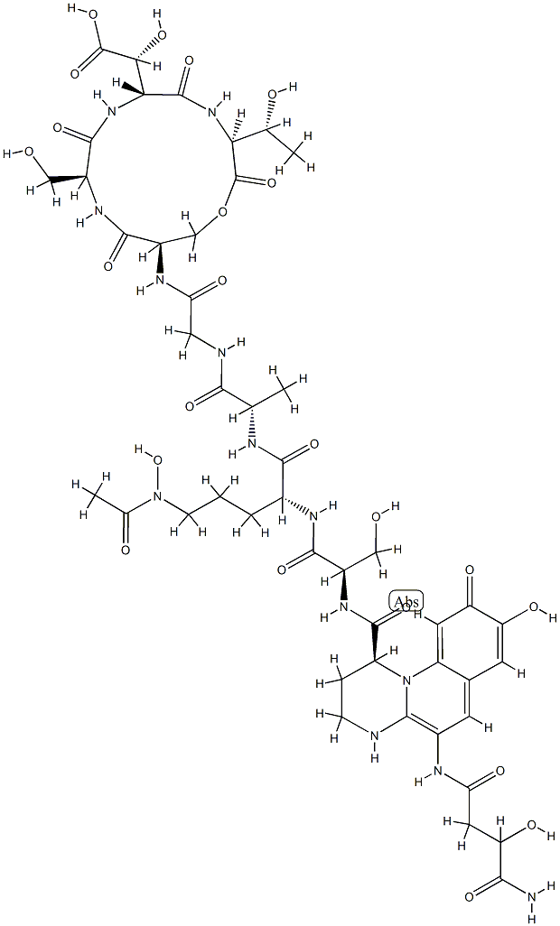 pseudobactin 7SR1 Structure