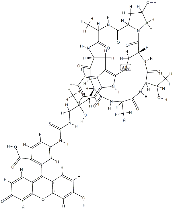 ((R)-4-Hydroxy-4-methyl-Orn(FITC)7)-Phalloidin Struktur
