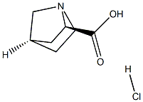 (1R,2R,4R)-rel-1-Azabicyclo[2.2.1]heptane-2-carboxylic acid hydrochloride 化学構造式