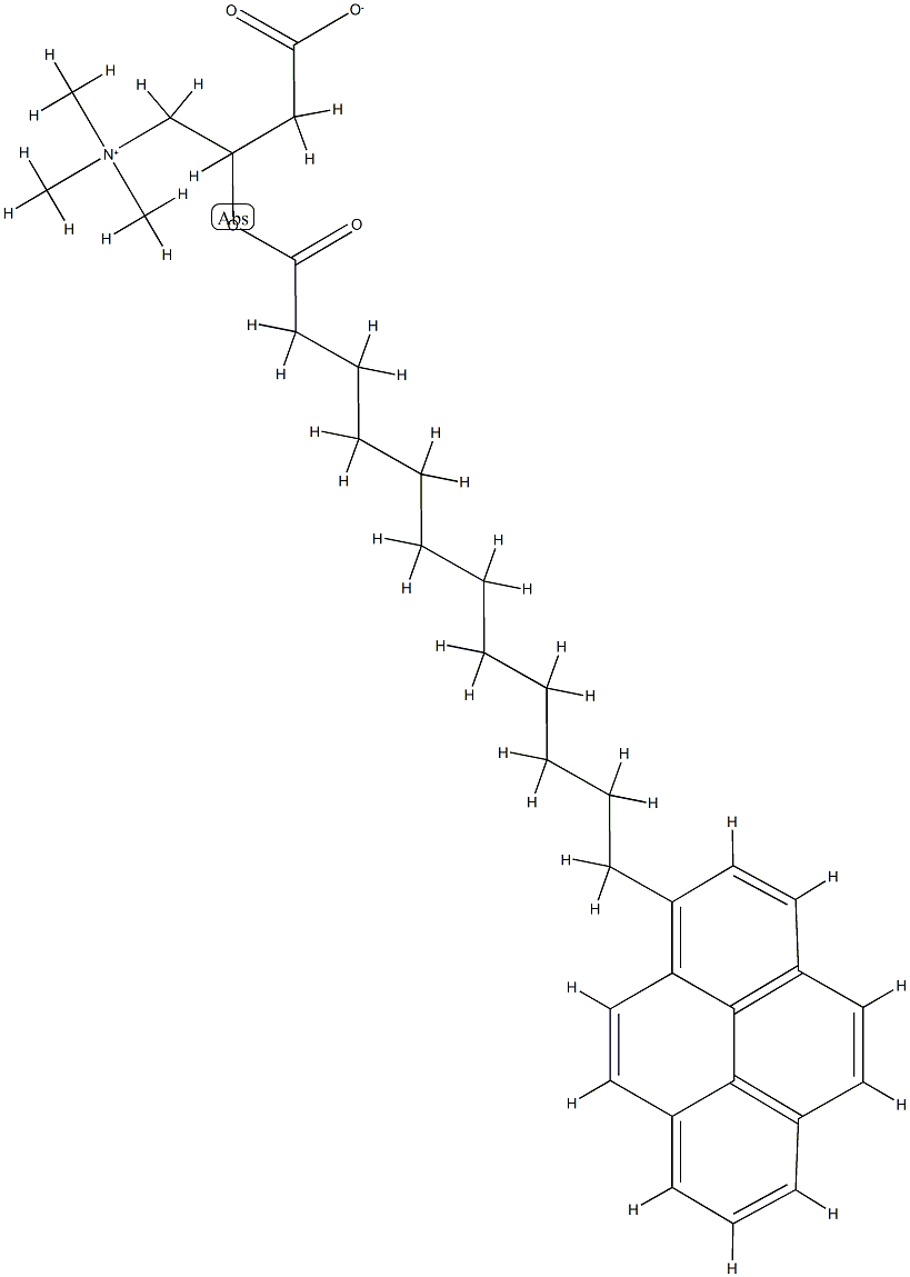 pyrenedodecanoylcarnitine 化学構造式