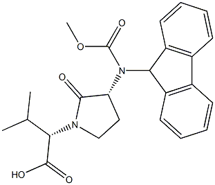 N-FMOC-FREIDINGER'S LACTAM price.