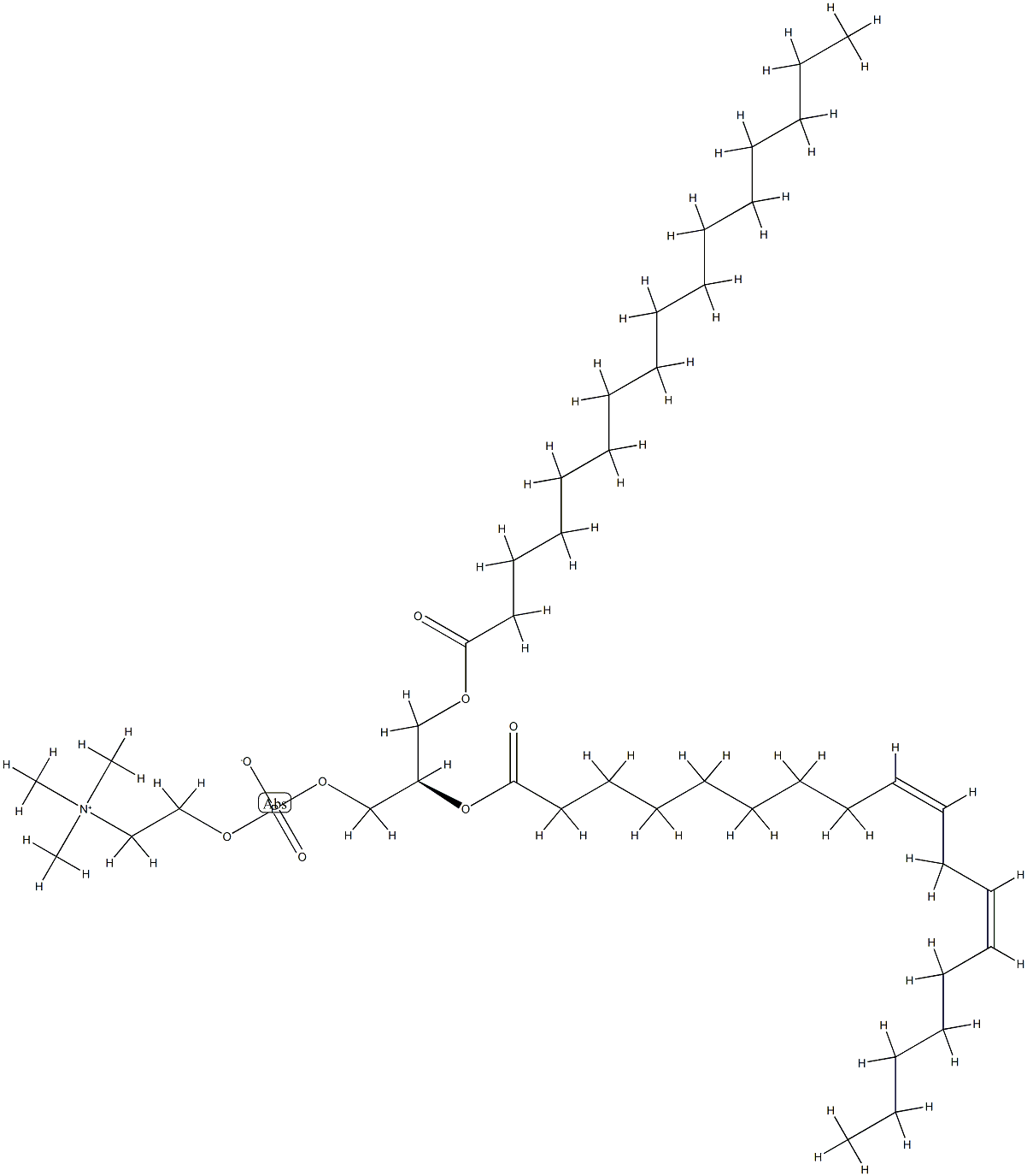 Phosphatidylcholine (Soy)|磷脂酰胆碱(大豆)