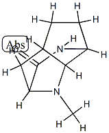 2,7-Methano-1H-cyclopentapyrazin-3(2H)-one,hexahydro-1-methyl-,(2-alpha-,4a-bta-,7-alpha-,7a-bta-)-(9CI) Structure