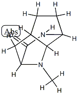 2,7-Methano-1H-cyclopentapyrazin-3(2H)-one,hexahydro-1-methyl-,(2-alpha-,4a-bta-,7-alpha-,7a-bta-)-(9CI) Struktur