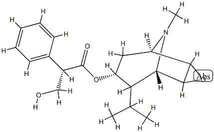 8-isopropylscopolamine|