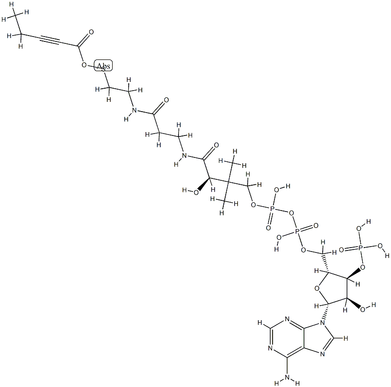 2-pentynoyl-coenzyme A|