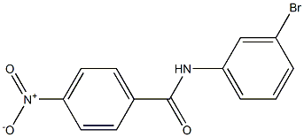 N-(3-bromophenyl)-4-nitrobenzamide, 99514-87-1, 结构式