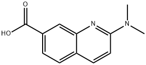 2-(DiMethylaMino)quinoline-7-carboxylic acid Struktur