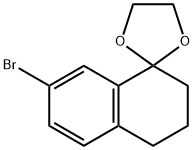 7-Bromo-1,2,3,4-tetrahydronaphthalene-1-spiro-2'-(1',3'-dioxacyclopentane)|7'-溴-3',4'-二氢螺[1,3-二氧戊环-2,1'(2'H)-萘