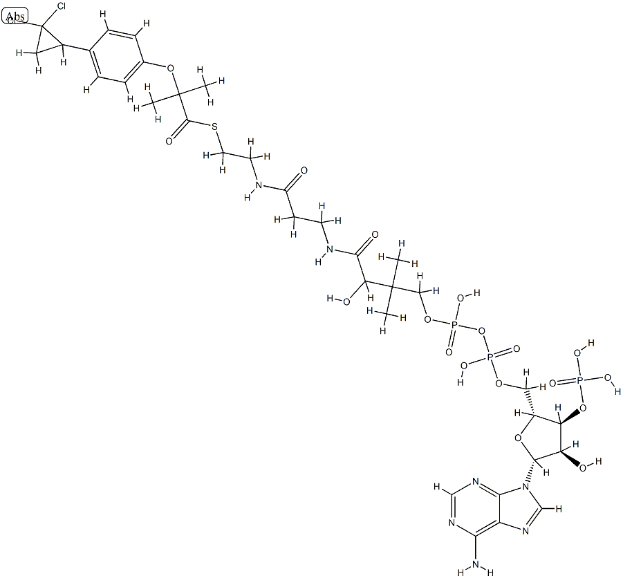 ciprofibrate-coenzyme A 结构式