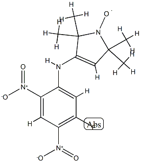 3-(5-fluoro-2,4-dinitroanilino)-1-oxyl-2,2,5,5-tetramethyl-3-pyrrolidine Struktur