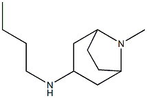 N-butyl-8-methyl-8-azabicyclo[3.2.1]octan-3-amine Structure