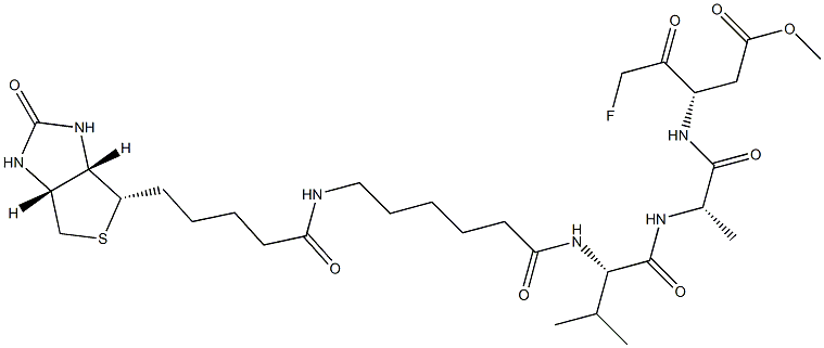 BIOTIN-Z-VAD-FMK 结构式