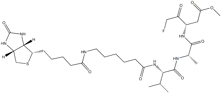 1135688-15-1 BIOTIN-Z-VAD-FMK