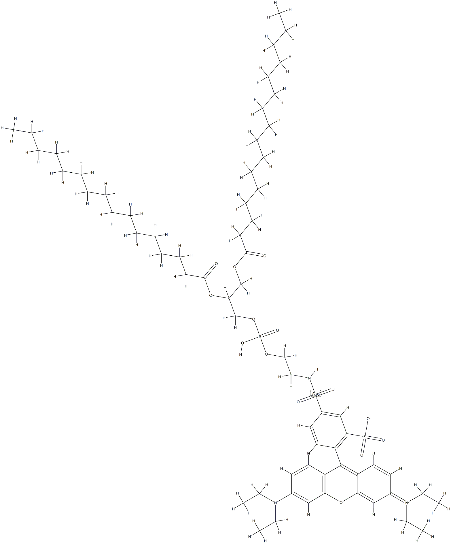 N-(lissamine-rhodamine B sulfonyl)-1,2-dipalmitoylphosphatidylethanolamine|