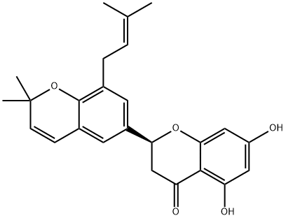 sigmoidin E Struktur
