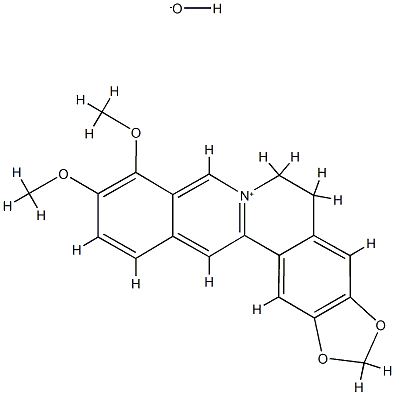 Benzog-1,3-benzodioxolo5,6-aquinolizinium, 5,6-dihydro-9,10-dimethoxy-, hydroxide,117-74-8,结构式