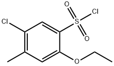 5-chloro-2-ethoxy-4-methylbenzenesulfonyl chloride(SALTDATA: FREE) Struktur