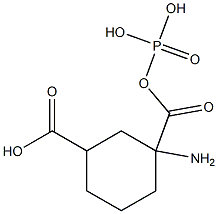 gamma-cycloglutamyl phosphate|