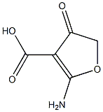 3-Furancarboxylicacid,2-amino-4,5-dihydro-4-oxo-(9CI)|