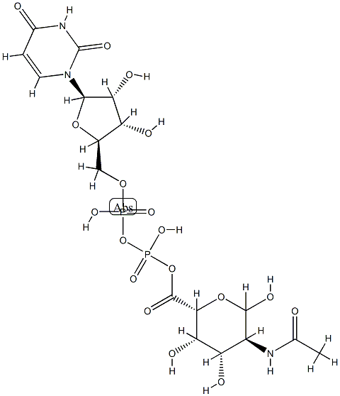 125710-37-4 UDP-2-acetamido-2-deoxygalacturonic acid