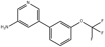 5-(3-(trifluoroMethoxy)phenyl)pyridin-3-aMine|5-(3-(三氟甲氧基)苯基)吡啶-3-胺